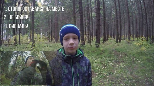 Что делать если потерялся в лесу? Детский социальный проект. Покажите детям! смотреть онлайн
