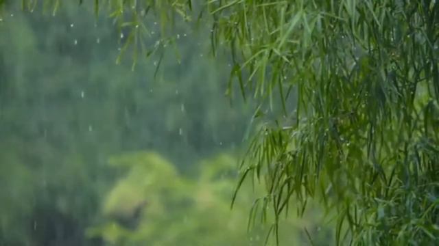 Как жаль, что ничего нельзя вернуть.. смотреть онлайн