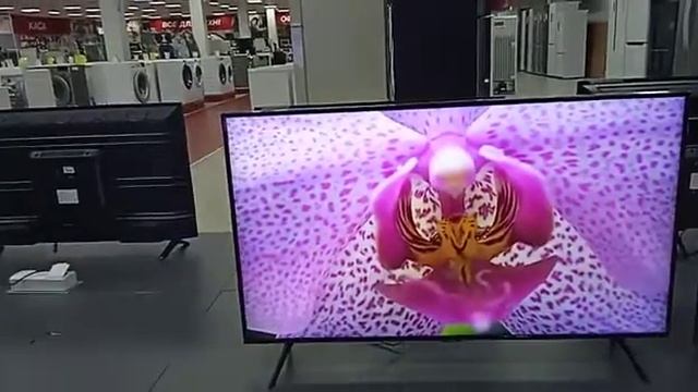 Сравнение QLED технологии в современных телевизорах и отличие от обычных ТВ | ТехноМАКС смотреть онлайн