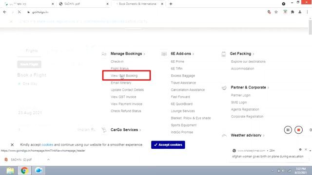 Flight Ticket Kaise Check Kare  | How To Check Flight Ticket | Flight Pnr Kaise Check Kare | PNR