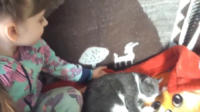 А нас котёнок! смотреть онлайн