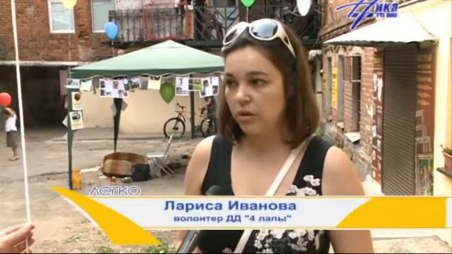 Раздача кошек смотреть онлайн