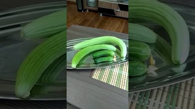 Армянский огурец. смотреть онлайн