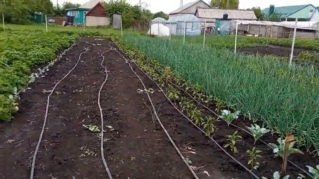 Небольшой обзорчик нашего огорода смотреть онлайн