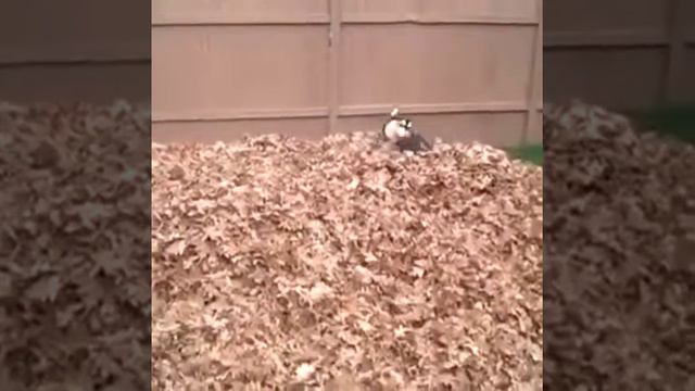 Вот оно счастье смотреть онлайн