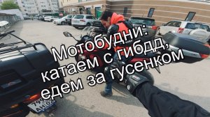 Мотобудни: катаемся с гибдд, едем за гусёнком.