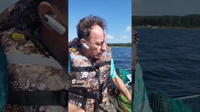 Аргази троллинг ноль а чебак ловится