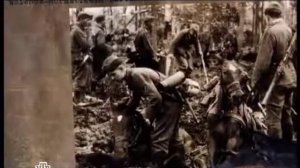 Вторая ударная.  Преданная армия Власова