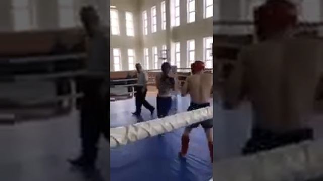Четвертьфінал рб па к1-в синем углу боец ск патриот борисов смотреть онлайн