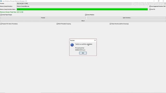 Java Windows Process Memory Dumper: Make Memory Dumps on PC Games смотреть онлайн
