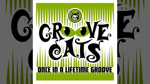 Once In A Lifetime Groove (Radio Edit)