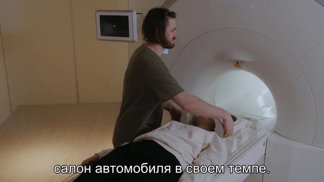 Как подготовить кошку к поездке на машине? смотреть онлайн