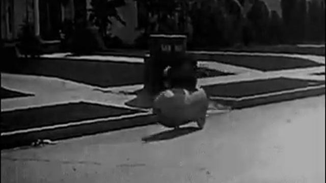 Дешёвый способ передвижения по городу