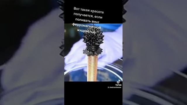 Вот такая красота получается, если поливать винт ферромагнитной жидкостью смотреть онлайн