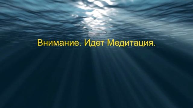 Тотем КОСАТКА. Глава 35. Энциклопедия "Всё о Шаманизме". Прямой эфир + Медитация. Шаман С. Попроцки смотреть онлайн