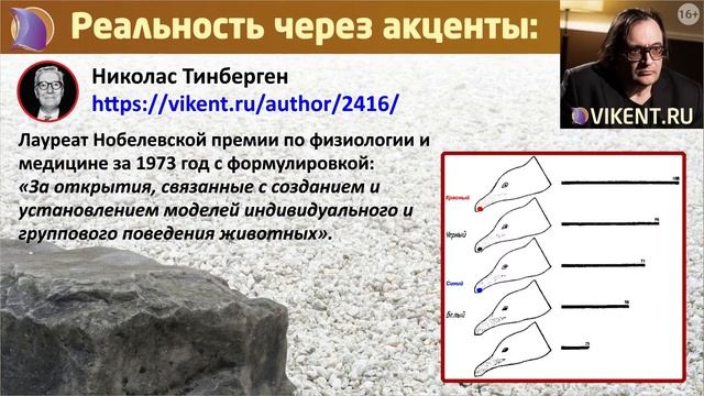УНИКАЛЬНЫЙ КОНТЕНТ: НОВЫЕ ТЕМЫ & СОЗДАНИЕ НОВЫХ ЖАНРОВ смотреть онлайн