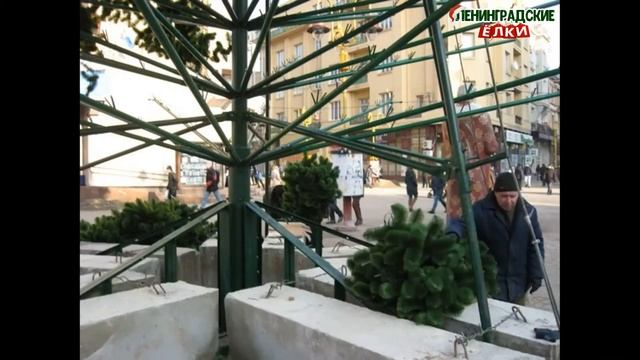 Установка ствольной елки "Альпийская" Сосна смотреть онлайн