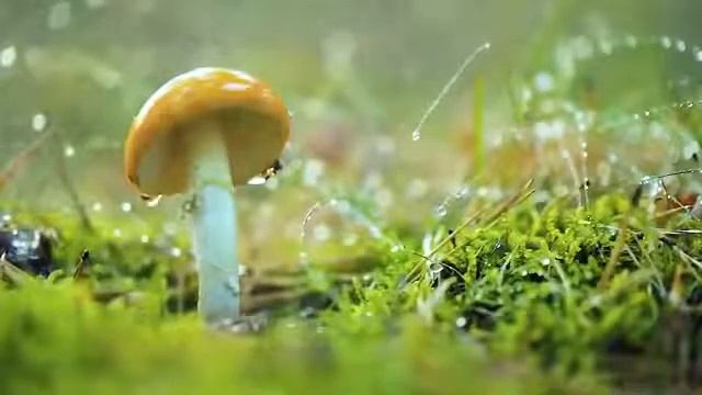 Музыка для души. Очищение сердца. смотреть онлайн