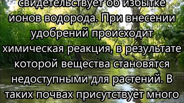 Бешеный урожай капусты гарантирован смотреть онлайн