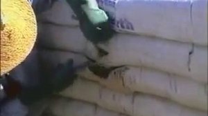 Эко Купол Строительство домов из мешков с землей