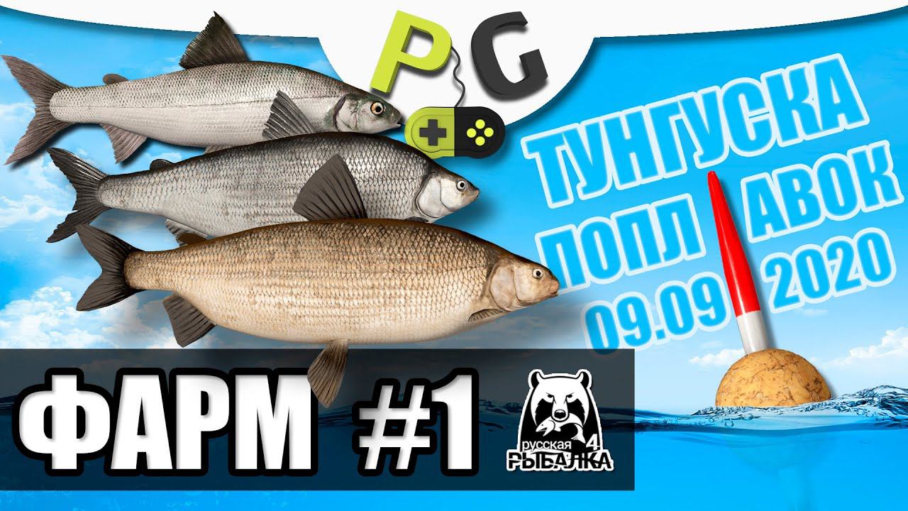 Русская Рыбалка 4 Фарм #1 Тунгуска на матчи. Чир, Муксун, Омуль. Лучший фарм в игре смотреть онлайн