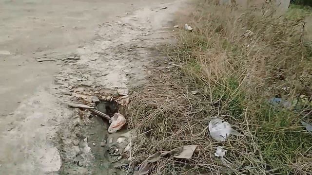 SinglEplayer PART1 Volgograd (описание!)