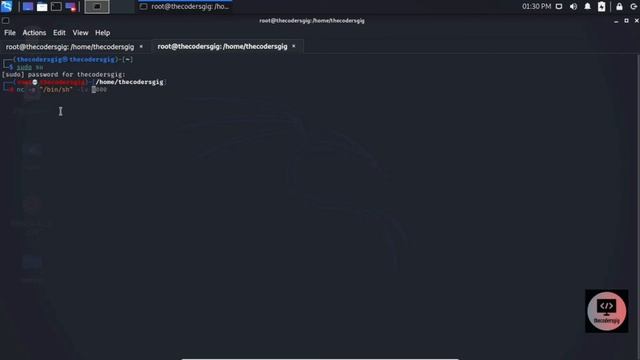 Secure Your Messages | Reverse Shell Using Kali linux and Parrot Os смотреть онлайн