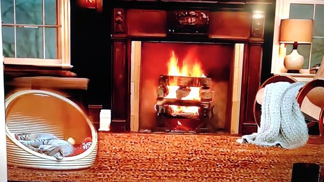 "Сказка про незадачливого кота". Н. Шейнман смотреть онлайн