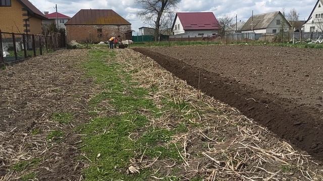 Оборотний плуг "Агромарка" для мотоблокy "Мотор Січ". Випробування після допрацювання. смотреть онлайн