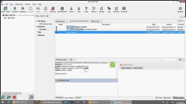 version controlling of oracle forms and reports through Source Tree lesson 2 смотреть онлайн