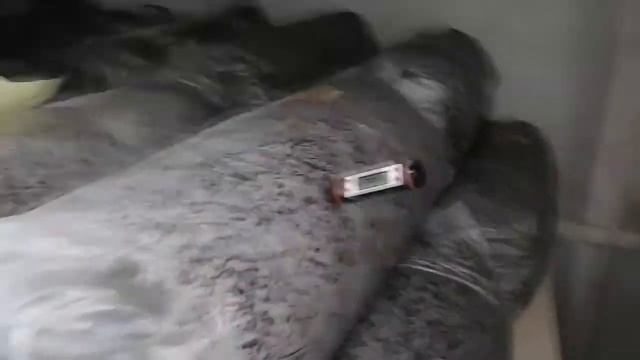 Производство грибов вешенок Чибиряков Сергей Михайлович о своём производстве смотреть онлайн