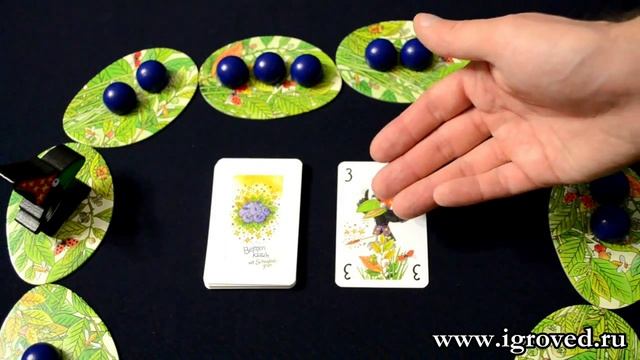 Ягодный воришка. Обзор настольной игры от Игроведа.mp4 смотреть онлайн