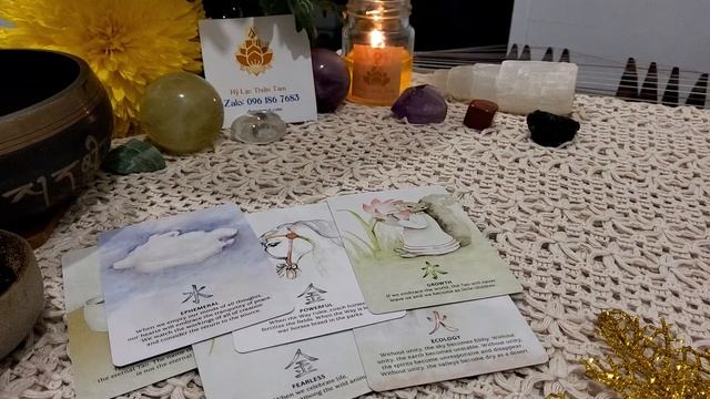 Thông điệp hướng dẫn thông suốt từ chân sư @daisytarot #starseed #lightworker #psychictarot смотреть онлайн