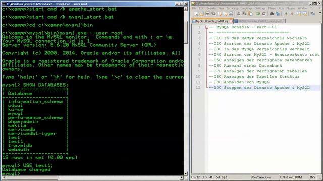 MySQL Konsole DE #01 [Starten/ Stoppen der Dienste, Login, SHOW, USE, DESC] смотреть онлайн