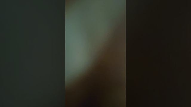 У нас пополнение....Кто же это....??? смотреть онлайн