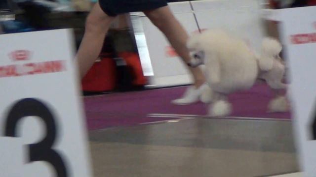 00040 Yamit Muska First. Моно ЕКБ 23.04.2016. смотреть онлайн