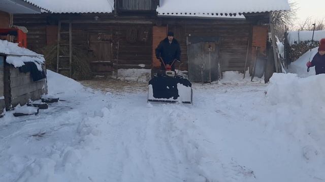17 января 2021 г. смотреть онлайн