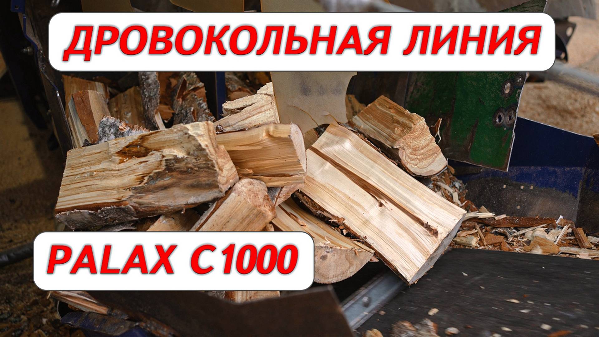 Дровокольная линия Palax C1000 в работе смотреть онлайн