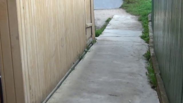 Казанский источник, Пантелеймона и умиление. Три купели у Серафимо-Дивеевского монастыря. смотреть онлайн