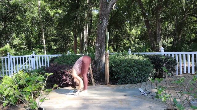 Hatha Flow W. Darin | Sacred Paths Yoga  (1hr 15 Min)