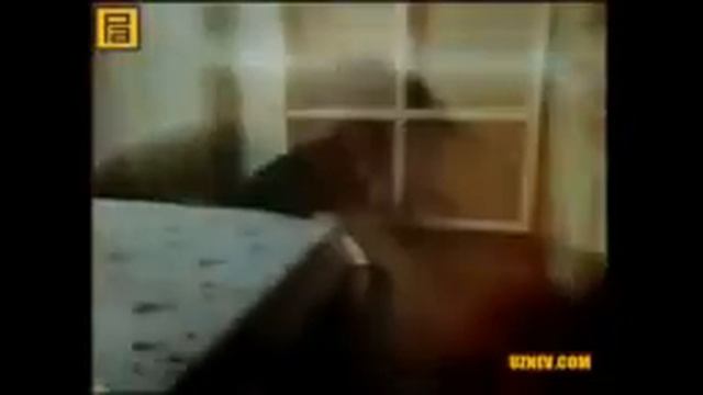 Qashqirlar Makoni 66 - Qism .Oʻzbek Tilidaa