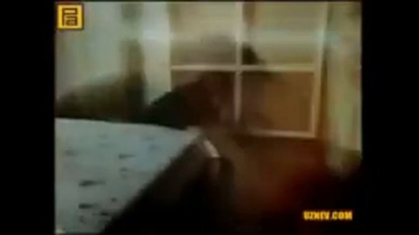 Qashqirlar makoni 66 - qism .Oʻzbek tilidaa