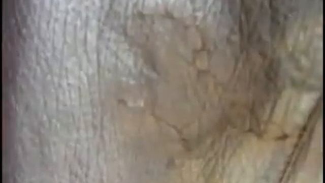 кожаная куртка ремонт большого повреждения на спине смотреть онлайн