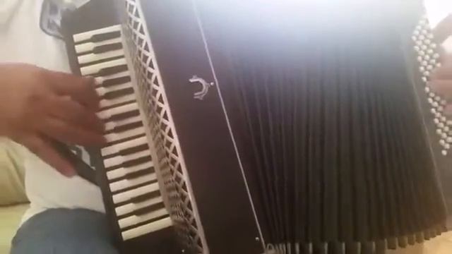 Кумыкская старинная мелодия (гармонь) смотреть онлайн