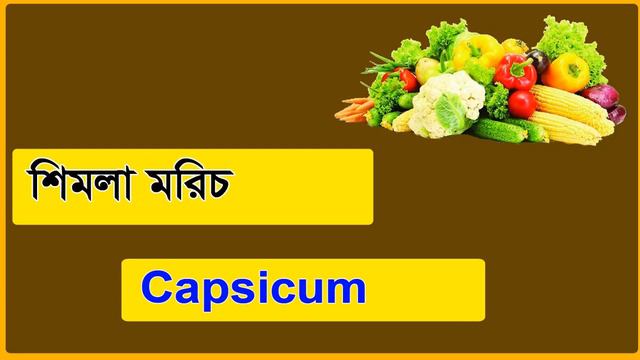 Vegetables Name 50, Best Vegetables Names Bangla, Learn vegetables name in English to Bangla смотреть онлайн