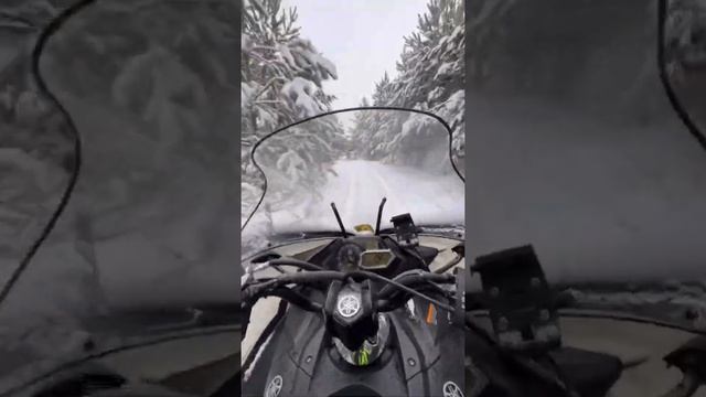 Кайфовая поездка на снегоходе Yamaha по зимнему лесу смотреть онлайн