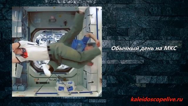 Обычный день на МКС смотреть онлайн