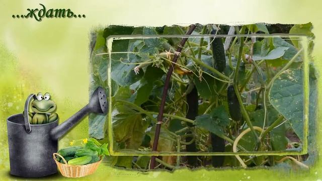 Любим дачу смотреть онлайн