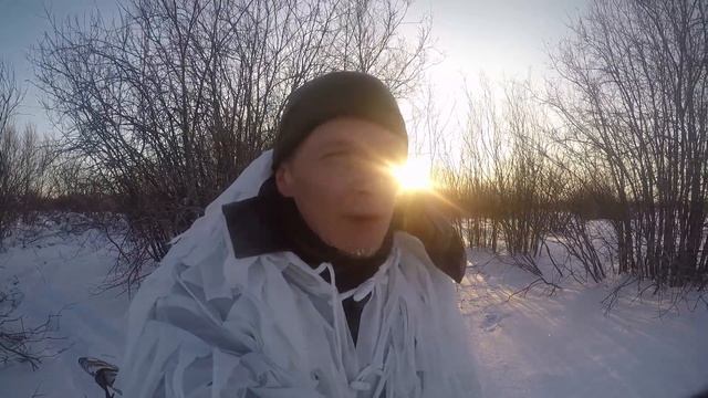 Охота, белая куропатка с подхода смотреть онлайн