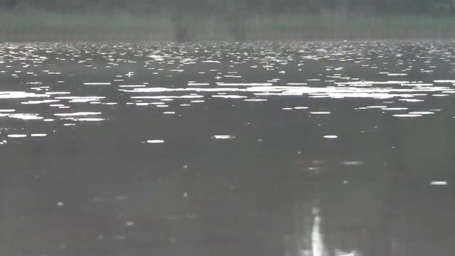 НЕ ЗА РЫБОЙ - НА РЫБАЛКУ ! ? Псковская обл. ? оз.Хвойно смотреть онлайн